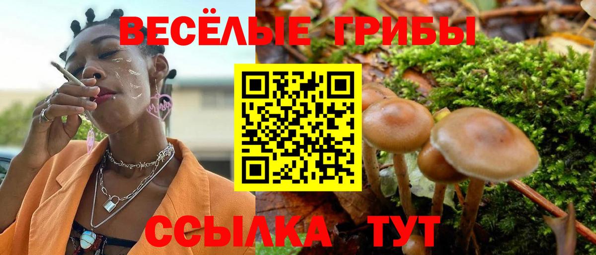 Галлюциногенные грибы Cubensis  Псилоцибиновые грибы ЛСД  Каменка  Вход с VPN 